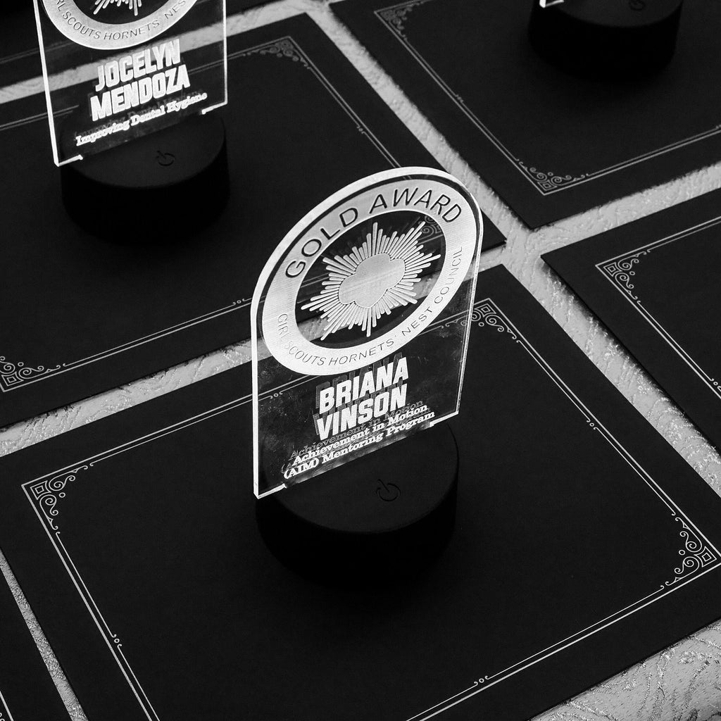 6" H x4" W LED Acrylic Trophy | Custom LED Award | Custom LED Plaque Award | Custom Award Plaque | Corporate Award
