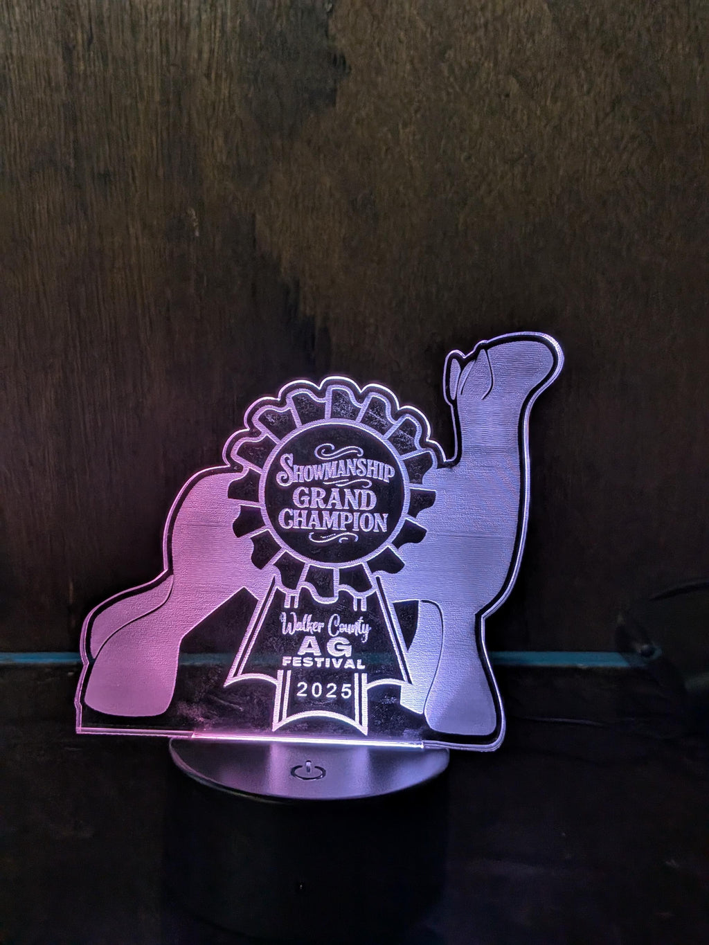 6" H x4" W LED Acrylic Trophy | Custom LED Award | Custom LED Plaque Award | Custom Award Plaque | Corporate Award