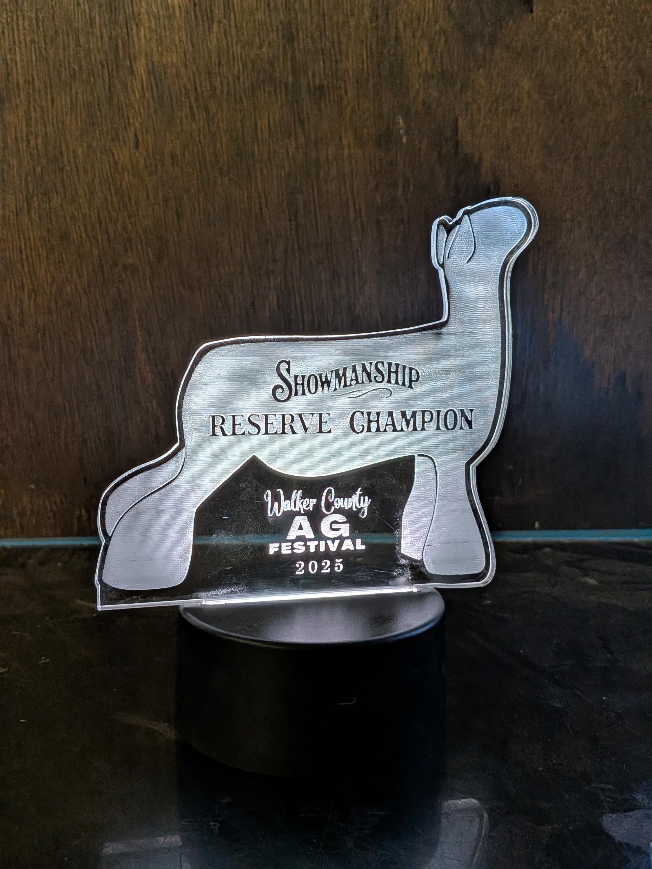 6" H x4" W LED Acrylic Trophy | Custom LED Award | Custom LED Plaque Award | Custom Award Plaque | Corporate Award