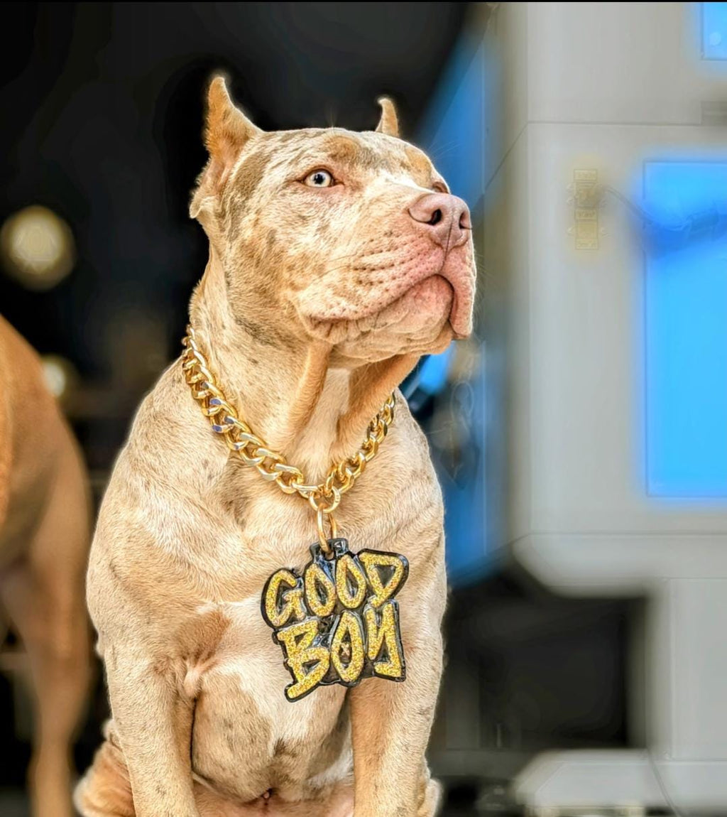 Custom Pet Turnover Chain | Custom Pet Pendant Chain | Personalized Dog Collar Chain | Pet Photography Collar