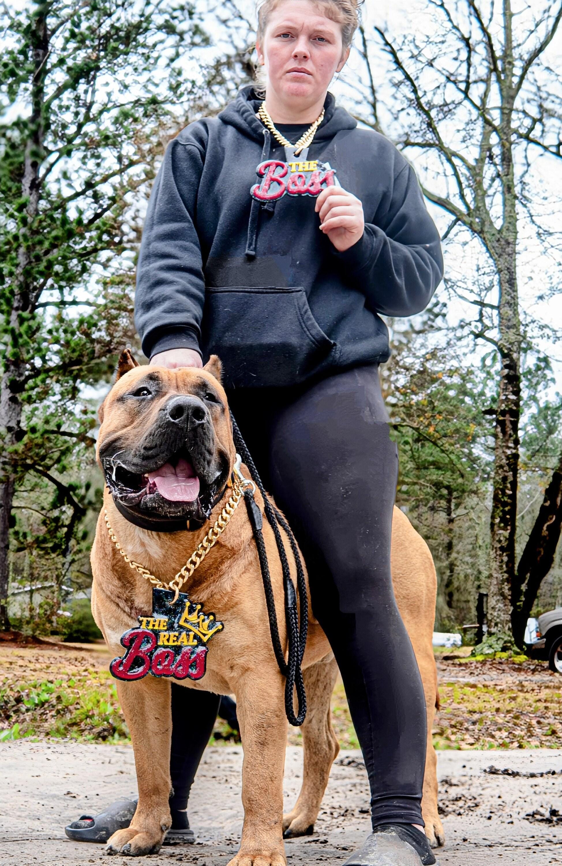 Custom Pet Turnover Chain | Custom Pet Pendant Chain | Personalized Dog Collar Chain | Pet Photography Collar